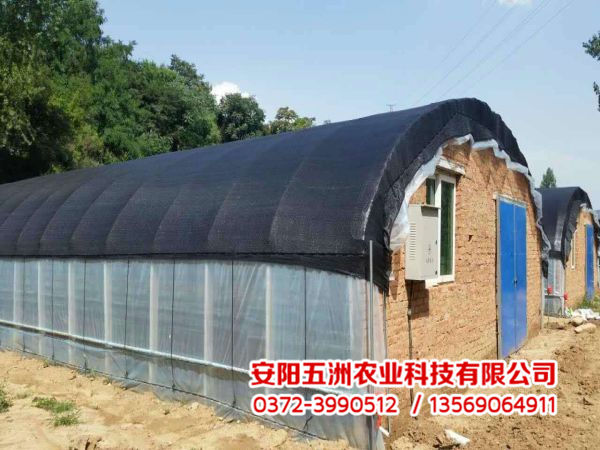 溫室大棚 溫室大棚