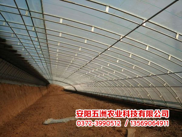 溫室大棚 溫室大棚